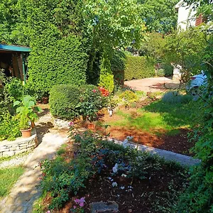  Casa vacanze Casetta Olivetta Croazia
